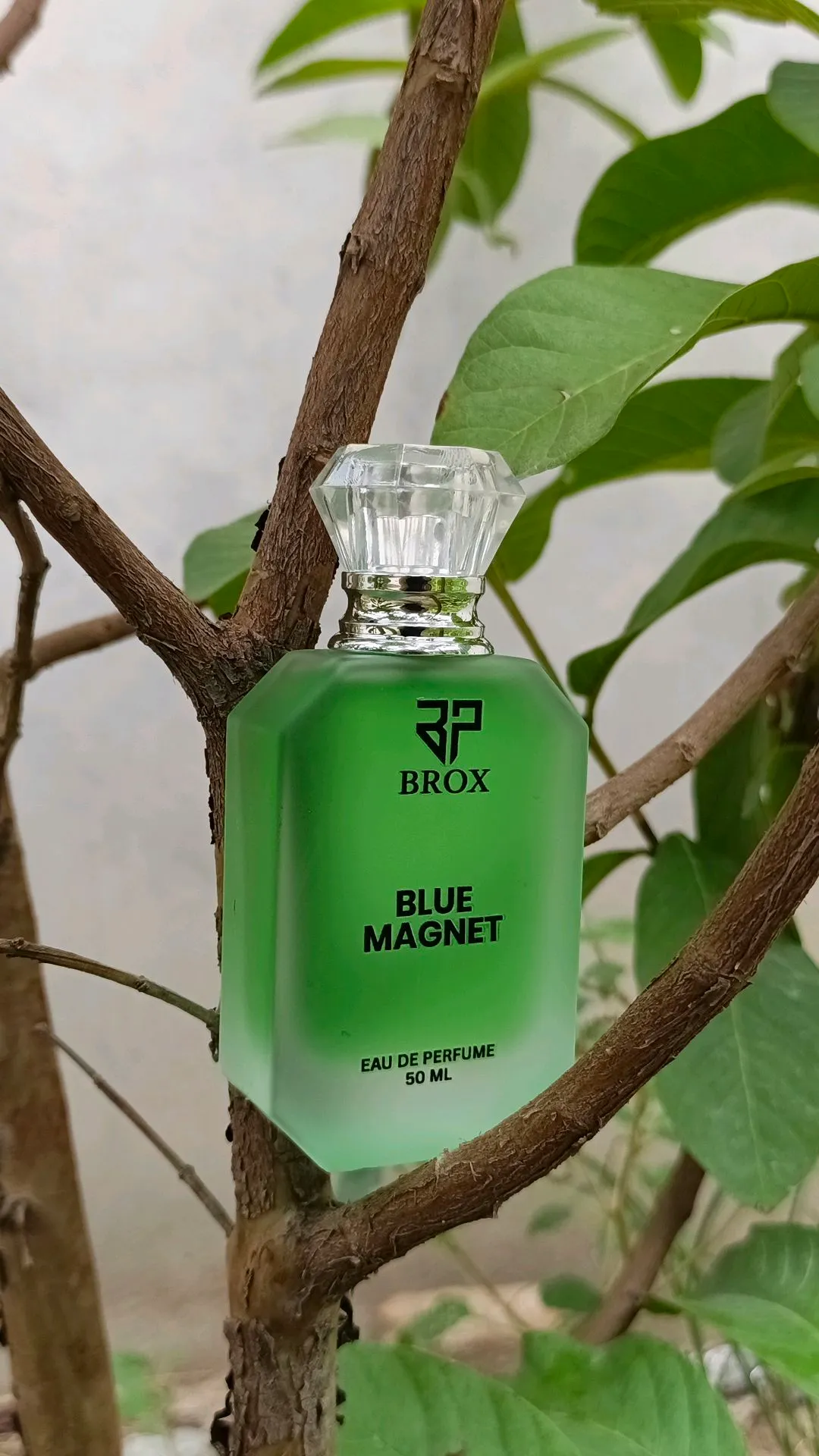BLUE MAGNET