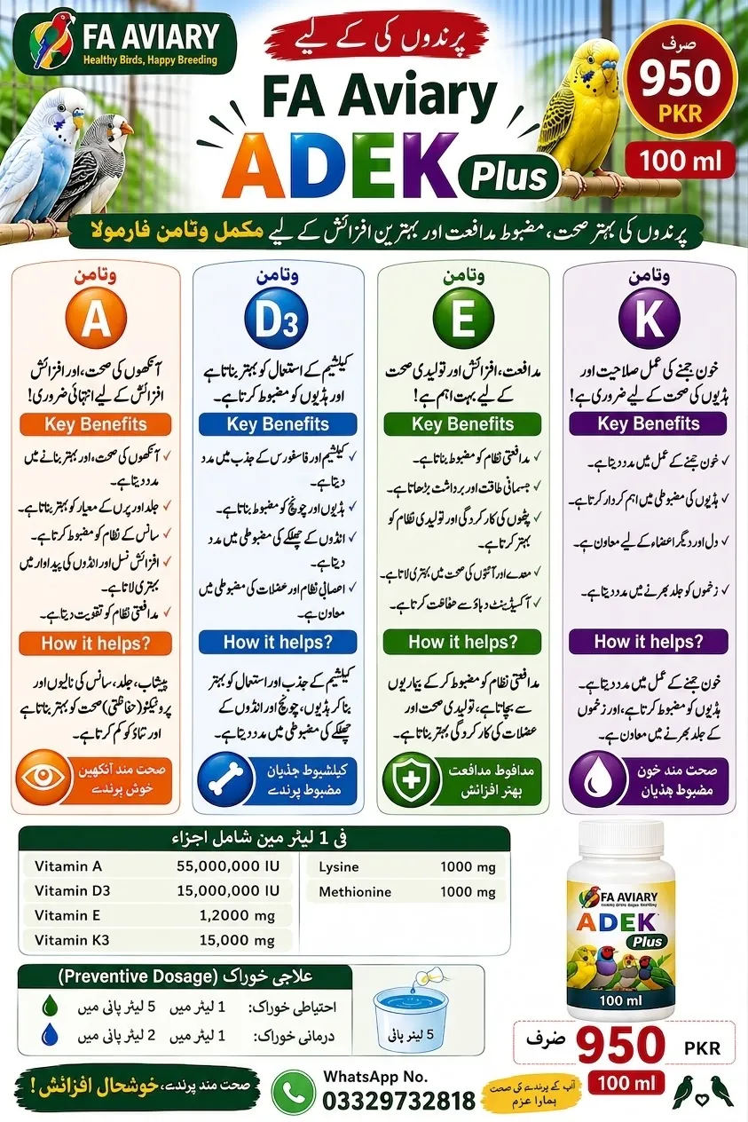 Vitamins ADEK and its importance for birds